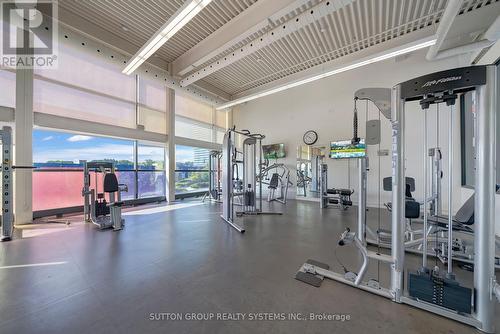 222 - 19 Singer Court, Toronto (Bayview Village), ON - Indoor Photo Showing Gym Room