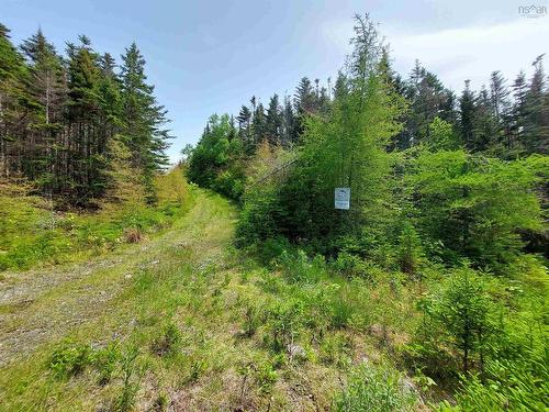 Lot 23Ij Diana Mountain Rd., The Points West Bay, NS 