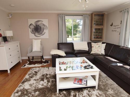 Salon - 41 Rue Yvon, Saint-Alphonse-Rodriguez, QC - Indoor Photo Showing Living Room