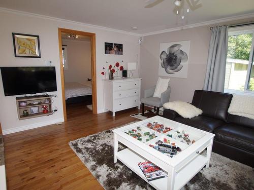 Salon - 41 Rue Yvon, Saint-Alphonse-Rodriguez, QC - Indoor Photo Showing Living Room