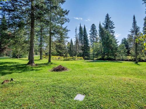 Vue d'ensemble - 110 7E Rang, Mont-Tremblant, QC - Outdoor