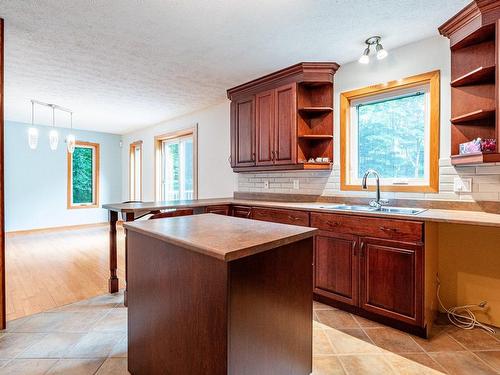 Cuisine - 674 Rue Des Perce-Neige, Saint-Denis-De-Brompton, QC - Indoor Photo Showing Kitchen With Double Sink