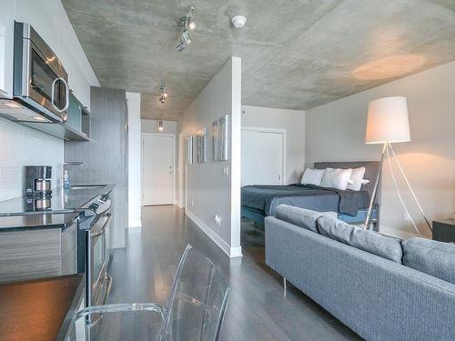 Overall view - 716-235 Rue Peel, Montréal (Le Sud-Ouest), QC - Indoor