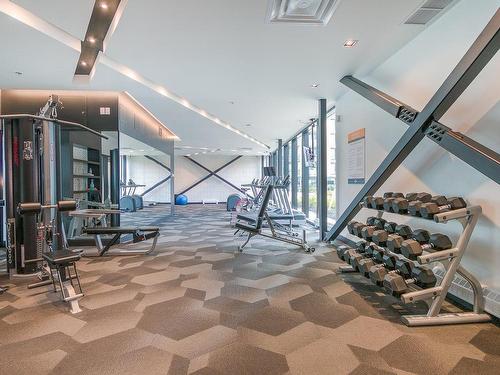 Exercise room - 716-235 Rue Peel, Montréal (Le Sud-Ouest), QC - Indoor Photo Showing Other Room