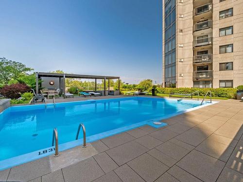 Pool - 1501-70 Rue De La Barre, Longueuil (Le Vieux-Longueuil), QC - Outdoor With In Ground Pool