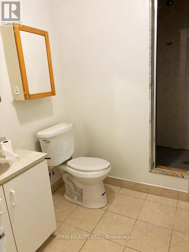 Lower - 33 Yatesbury Road, Toronto (Bayview Woods-Steeles), ON - Indoor Photo Showing Bathroom