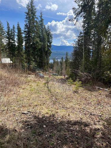 67 Pine Street, Anglemont, BC - Outdoor With View