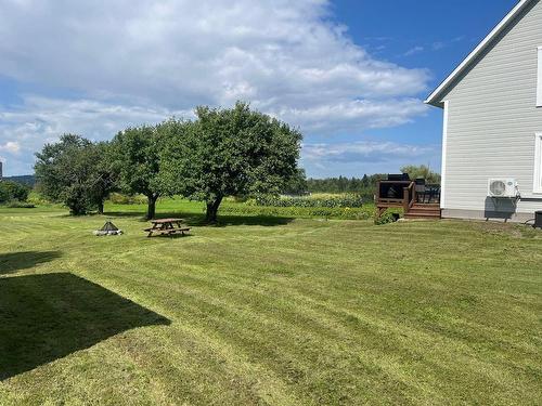 Backyard - 171 Av. Des Érables, Saint-Gabriel-Lalemant, QC - Outdoor With View