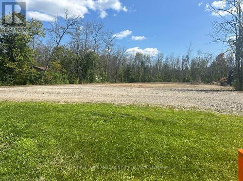 Lot 46 River Road, Kawartha Lakes (Fenelon Falls), ON 