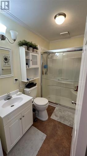 3 Sunset Crescent, Stephenville, NL - Indoor Photo Showing Bathroom