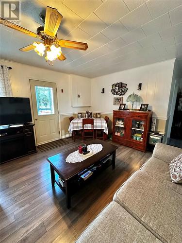 11 Main Street, Grand Falls-Windsor, NL - Indoor Photo Showing Living Room