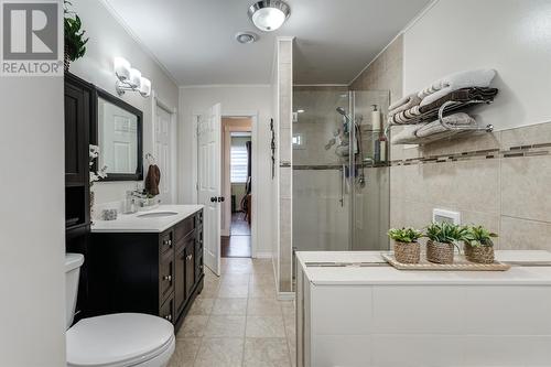 172 Main Street, Chapel Arm, NL - Indoor Photo Showing Bathroom