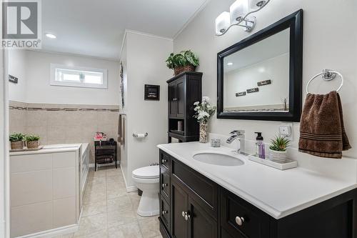 172 Main Street, Chapel Arm, NL - Indoor Photo Showing Bathroom