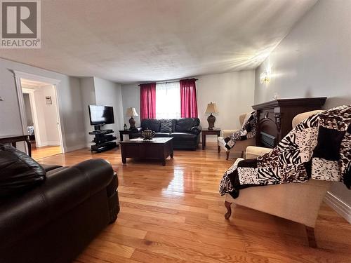 642 Main Drive, Terrenceville, NL - Indoor Photo Showing Living Room