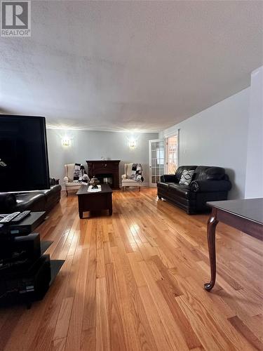 642 Main Drive, Terrenceville, NL - Indoor Photo Showing Living Room