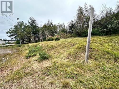 642 Main Drive, Terrenceville, NL - Outdoor With View