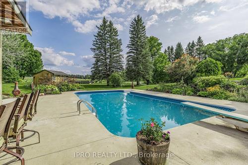 246044 County Rd 16 Road, Mono, ON - Outdoor With In Ground Pool