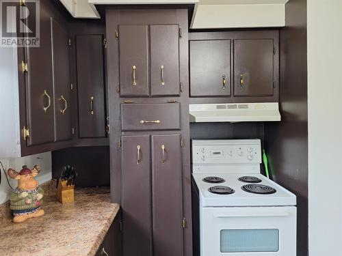 10 Gull Pond Road, Gull Pond, NL - Indoor Photo Showing Kitchen