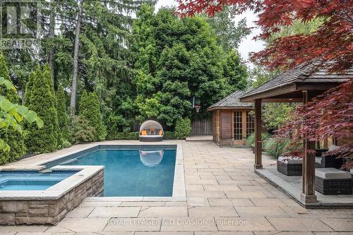 188 Glencairn Avenue, Toronto, ON - Outdoor With In Ground Pool