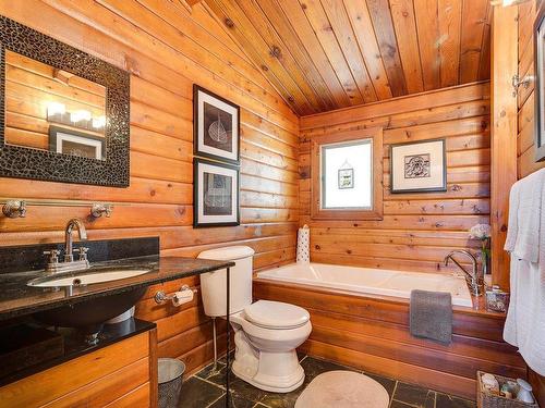 Salle de bains - 10 Rue Jean, Morin-Heights, QC - Indoor Photo Showing Bathroom