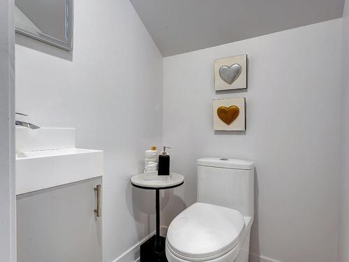 Powder room - 103-191 Rue De Langloiserie, Rosemère, QC 