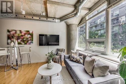 209 - 32 Stewart Street, Toronto, ON - Indoor Photo Showing Living Room