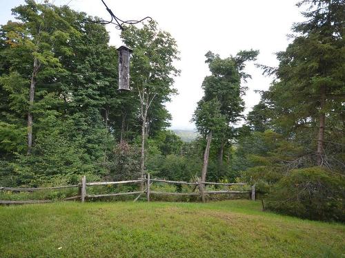 Backyard - 1-300 Rue Du Mont-Plaisant, Mont-Tremblant, QC - Outdoor With View