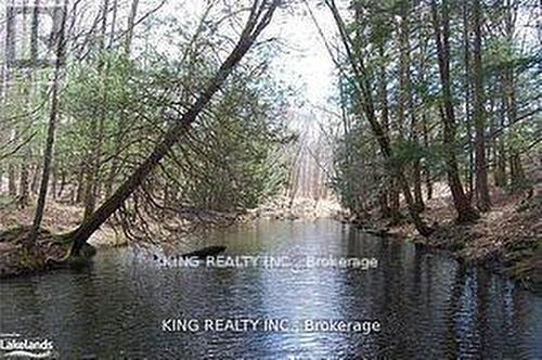 (Lot13) - 12 Zhaawashkwaa Miikan Road, Seguin, ON 