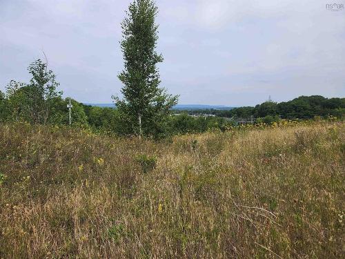 Lot 2 Falcon Drive, Canaan, NS 