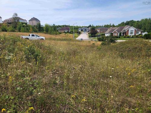 Lot 2 Falcon Drive, Canaan, NS 