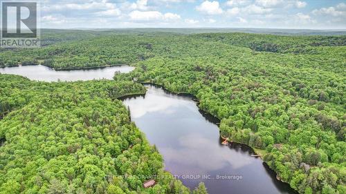 1170-A Dam Road, Hastings Highlands, ON - Outdoor With View