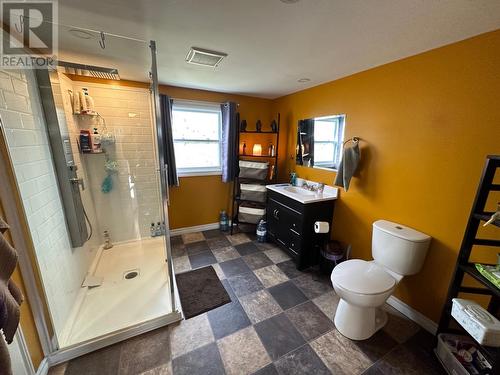 9 Hill Street, Trinity, NL - Indoor Photo Showing Bathroom