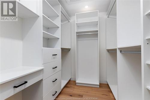 4341 Caterina Crescent, Lasalle, ON - Indoor With Storage