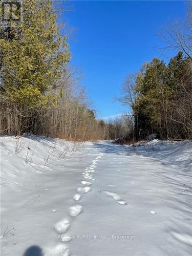 . Happy Hollow Road, Prescott And Russell, ON 