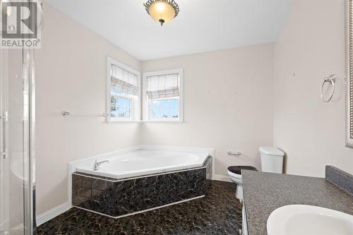 48 Trafalgar Drive, Mount Pearl, NL - Indoor Photo Showing Bathroom