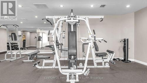 1010 - 330 Ridout Street N, London, ON - Indoor Photo Showing Gym Room