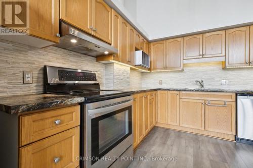 105 - 111 Grey Street, Brantford, ON - Indoor Photo Showing Kitchen