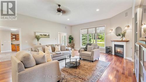 270 Mcgill Road, Brant (Brantford Twp), ON - Indoor Photo Showing Living Room With Fireplace