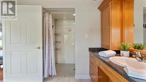 270 Mcgill Road, Brant (Brantford Twp), ON - Indoor Photo Showing Bathroom