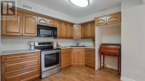 270 Mcgill Road, Brant (Brantford Twp), ON - Indoor Photo Showing Kitchen