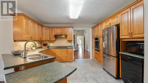 270 Mcgill Road, Brant (Brantford Twp), ON - Indoor Photo Showing Kitchen With Stainless Steel Kitchen With Double Sink