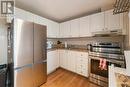 1500 Lassiter Terrace, Ottawa, ON  - Indoor Photo Showing Kitchen 