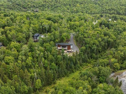 Aerial photo - 145 Rue Du Mont-Washington, La Conception, QC - Outdoor With View