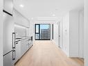 Overall view - 3608-1210 Rue Jeanne-Mance, Montréal (Ville-Marie), QC  - Indoor Photo Showing Kitchen 