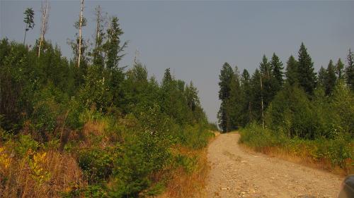 130  Acres Sugar Lake-Sihlis Fsr Road, Cherryville, BC 