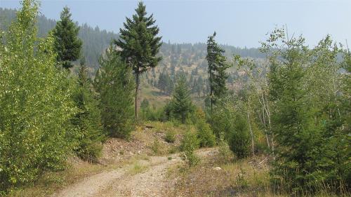 130  Acres Sugar Lake-Sihlis Fsr Road, Cherryville, BC 