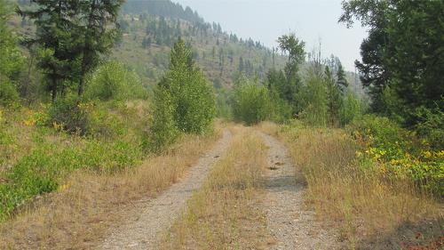 130  Acres Sugar Lake-Sihlis Fsr Road, Cherryville, BC 