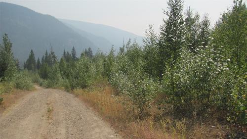 130  Acres Sugar Lake-Sihlis Fsr Road, Cherryville, BC 