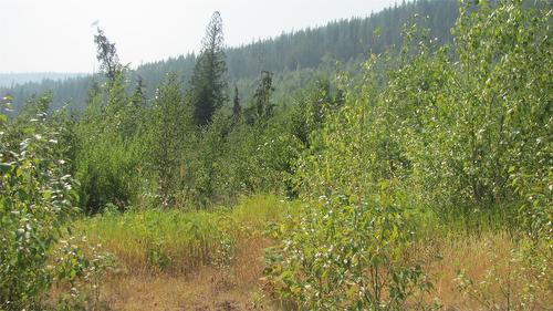 130  Acres Sugar Lake-Sihlis Fsr Road, Cherryville, BC 