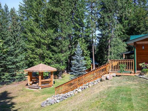 41 Lakeview Drive, Clearwater, BC - Outdoor